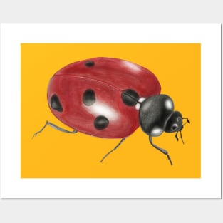 Ladybug Posters and Art